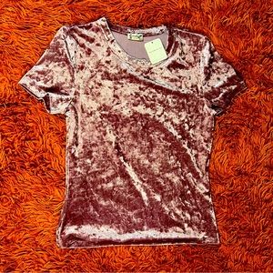 New NWT Intimately Free People Short Sleeve Velvet Top sz M Pink/Rose
